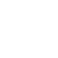 Light-Logo-icon
